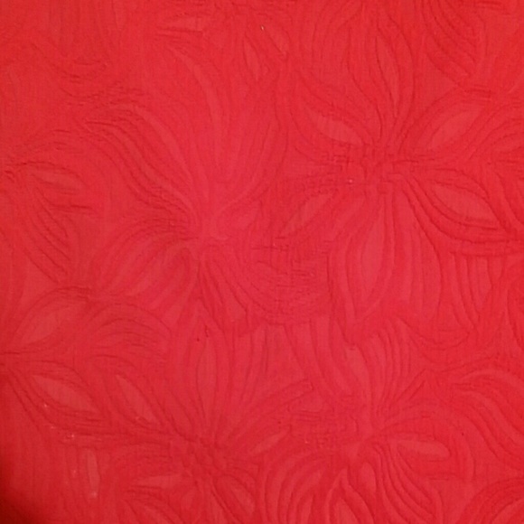 The Limited Pencil Skirt - Picture 4 of 4